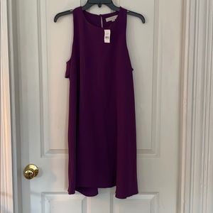 NWT Loft dress with ruffle detail size Small